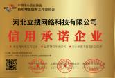 河北立搜网络科技有限公司​ 