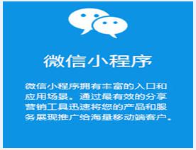 我们的主要产品
